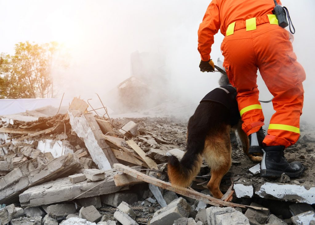 A man in orange searching through the wreckage of a s=destroyed house with a german shepherd trying to find survivors 